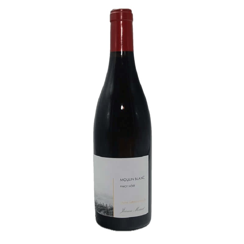 Moulin Blanc Pinot Noir 2023 | Loire Valley Wine